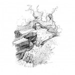 Illustrations jardins nantais - Parc de la Gaudinère - Rocailles